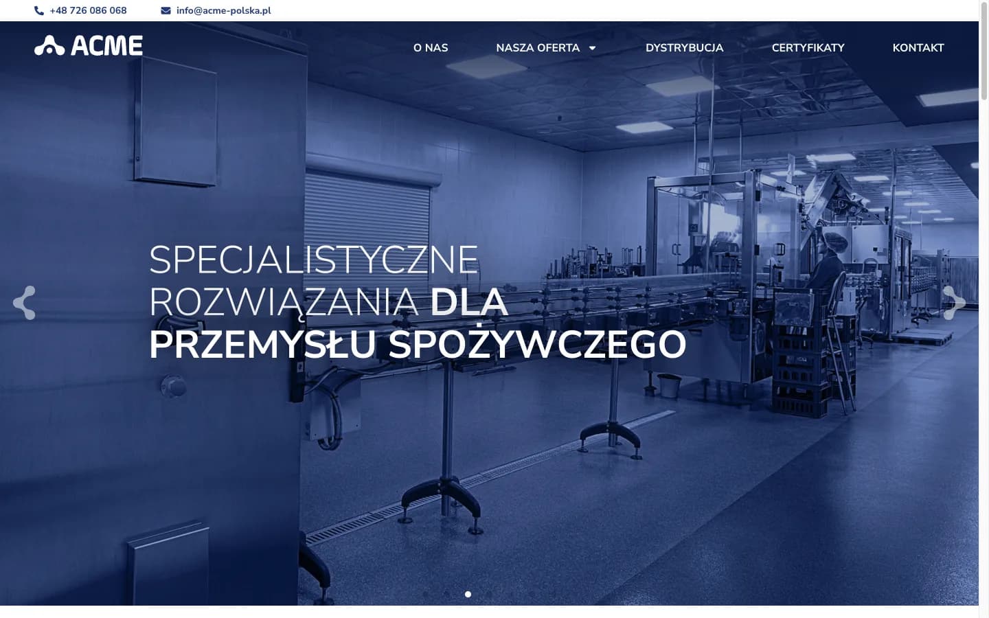Screenshot of Acme Polska